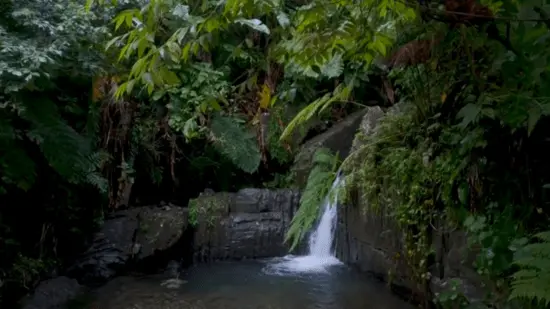 Puerto Rico Tours in Island